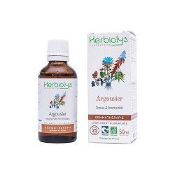 Herbiolys gemmothérapie Argousier 50mL BIO - Hippophae/Eleagnus rhamnoïdes