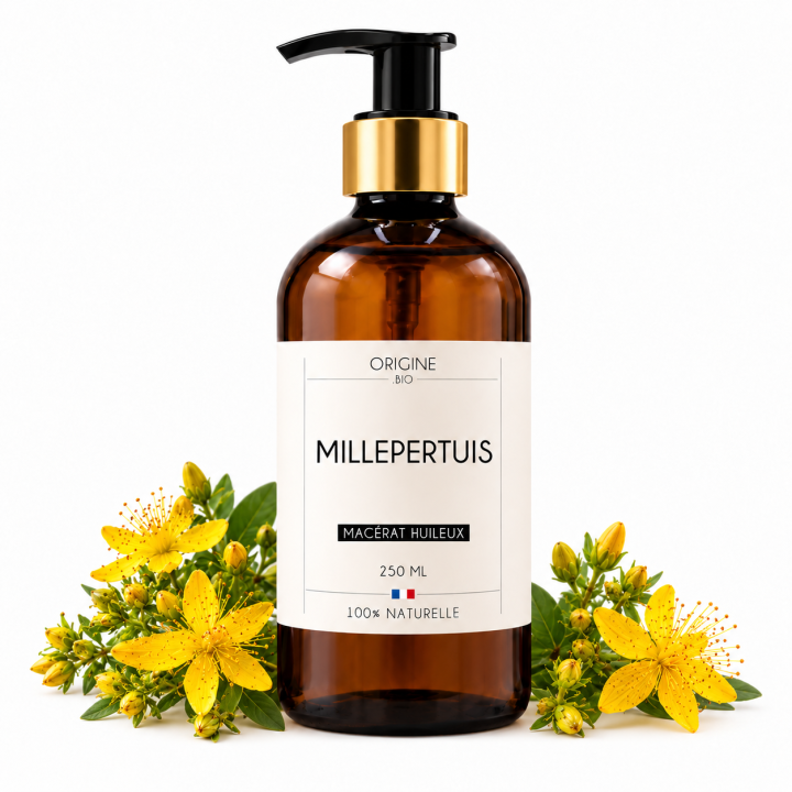 Macérat de millepertuis Bio 250ml - Origine Bio