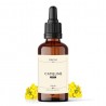 Huile de cameline 100ml - Origine Bio