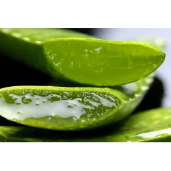 Gel aloe vera - Origine bio