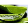 Gel aloe vera - Origine bio