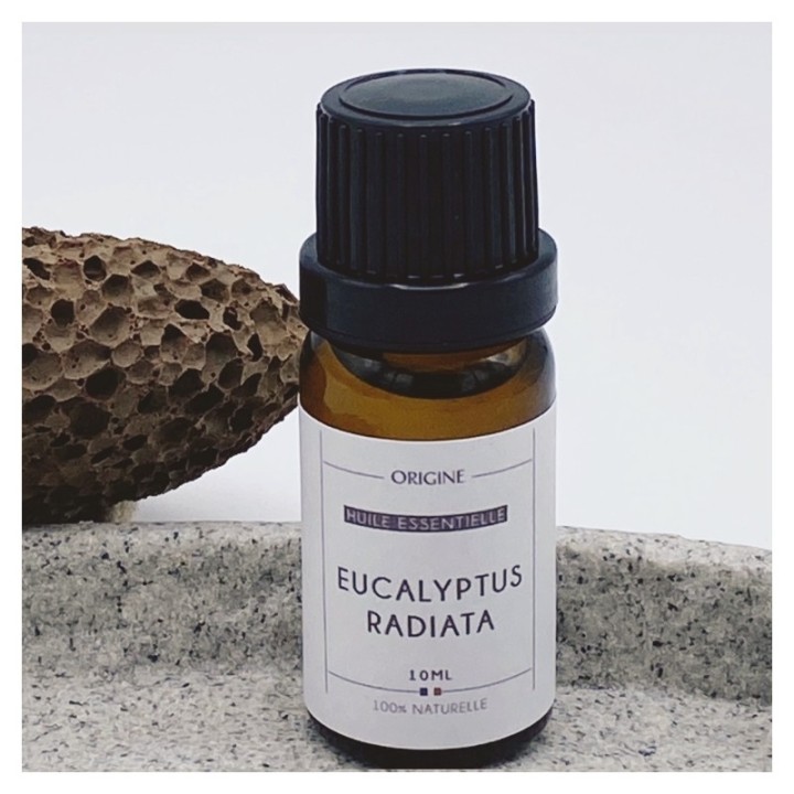 Huile Essentielle Eucalyptus Radié  Bio - 10 Ml - 100% naturelle