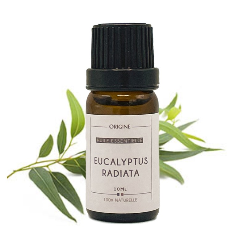 huile essentielle bio eucalyptus radié 10 ml