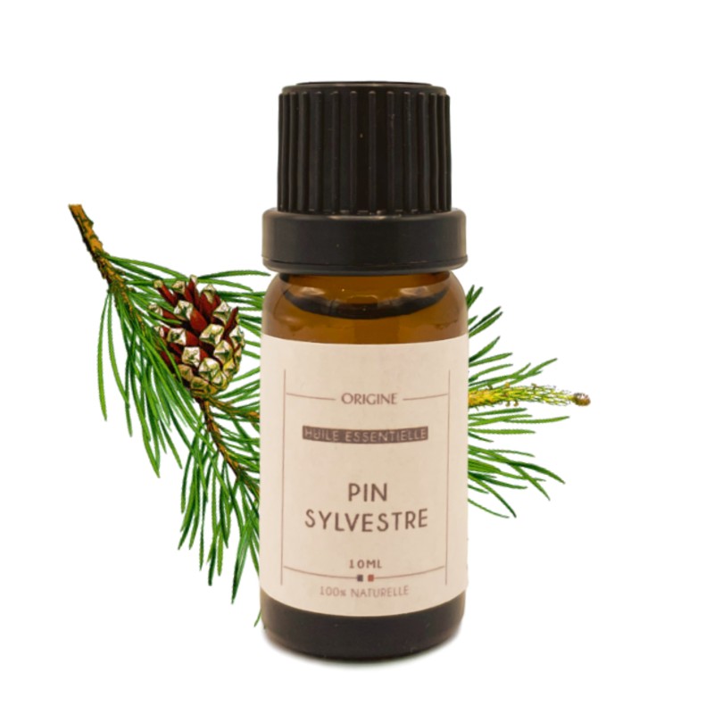 HUILE ESSENTIELLE Pin sylvestre (BIO) - 10ml - Phytofrance