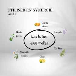 Huile d'Amande Douce 250 ml 1ère Pression - Origine Bio