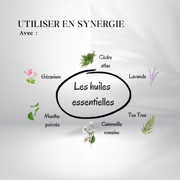 les huiles essentielles à utiliser en synergie avec  l'huile de fenugrec