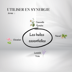 Huile de cameline 100ml - Origine Bio