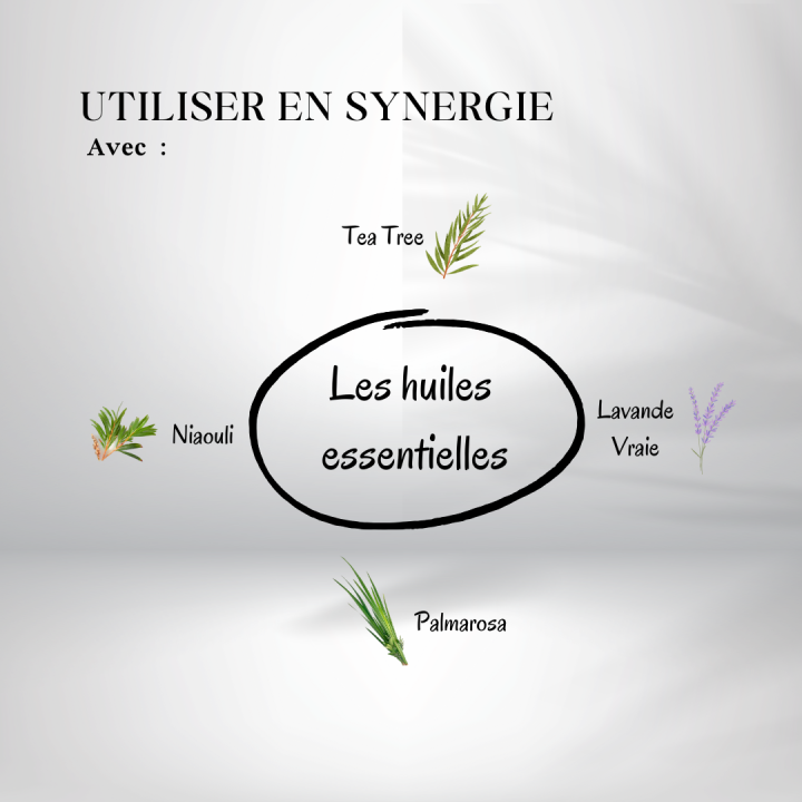 Huile de Tamanu bio - huiles essentielles en synergie