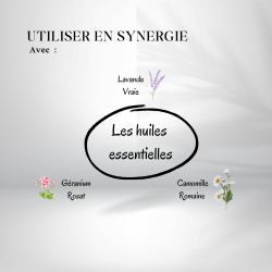 Huile de Rose Musquée - Origine Bio
