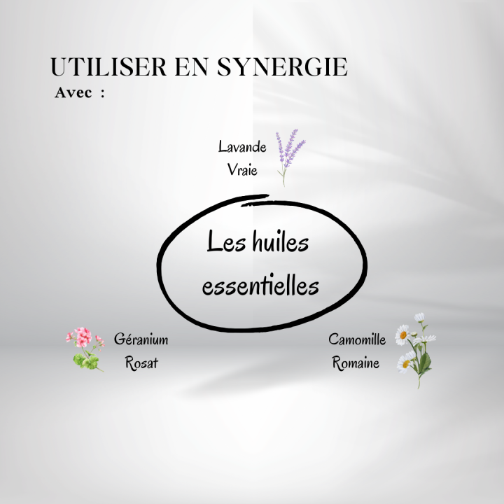 Huile de Rose Musquée bio 1 ère pression - huiles essntielles en synergie