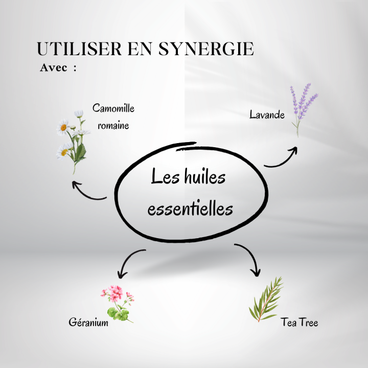 Huile d'Avocat Vierge 1ere pression - huiles essentielles en synergie