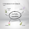 Huile d'Avocat Vierge - Origine Bio