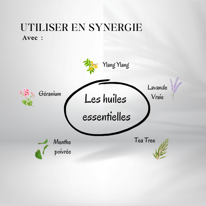 Huile de Coco Bio Fractionnée - huiles essentielles en synergie