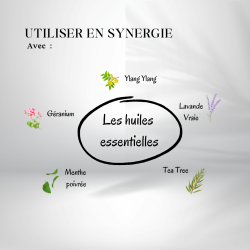 Huile Coco Massage Bio Fractionnée - huiles essentielles en synergie