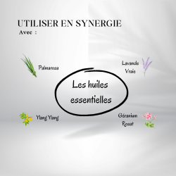 Huile de Brocoli Désodorisée - Origine Bio