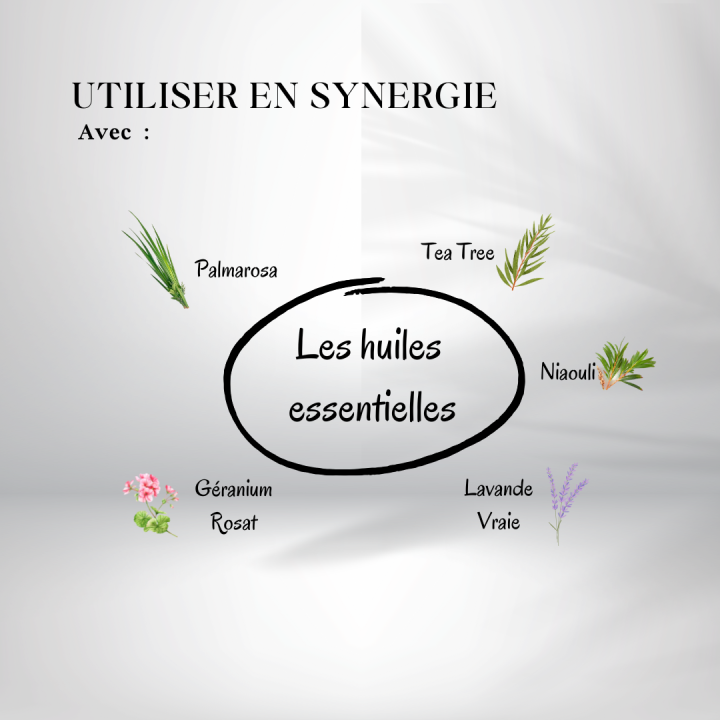 Huile de Chaulmoogra - huile essentielle à utiliser en synergie