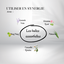 Huile de Karité - Origine Bio