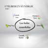 Huile de Karité - Origine Bio