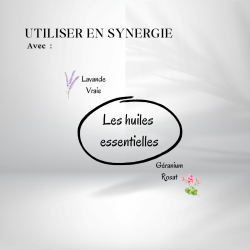 Huile de germe de blé - Origine Bio