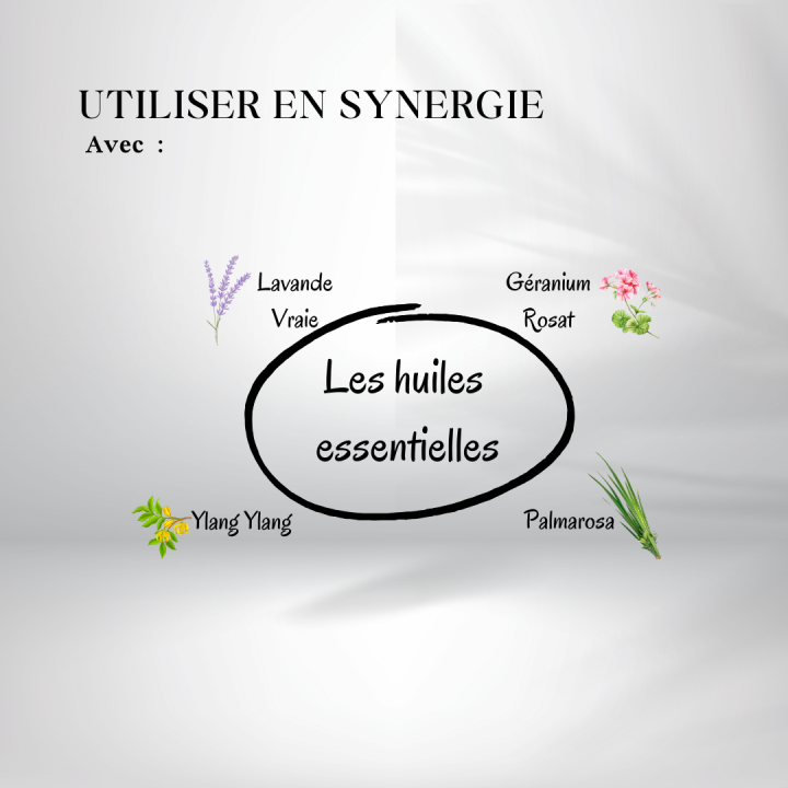 Huile de noix de macadamia - huiles essentielles en synergie