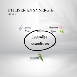 Huile de moringa - Origine Bio
