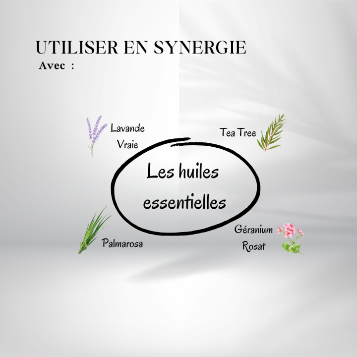 Huile de Karanja bio - huiles essentielles à utiliser en synergie