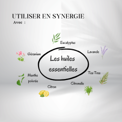 Huile de Neem - Origine Bio