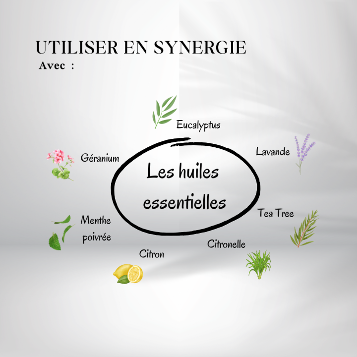 Huile de Neem Bio - huiles essentielles à utiliser en synergie