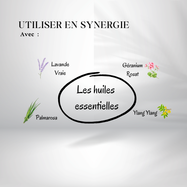 Huile de Café bio - huiles essentielles en synergie