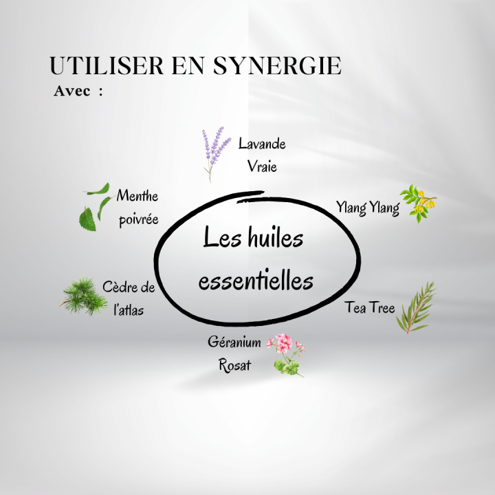 Huile Amla - huiles essentielles à utiliser en synergie