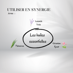 Huile d'onagre - Origine Bio