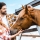 Comment éloigner naturellement les insectes et parasites de mon cheval ?