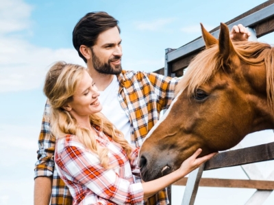 Comment éloigner naturellement les insectes et parasites de mon cheval ?